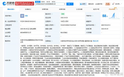 吉林省吉空低空產業科技發展公司正式成立，聚焦信息系統集成服務