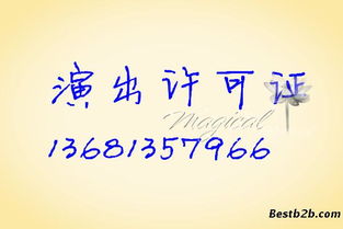 全面解析營業(yè)性演出許可證 辦理流程、審批要點(diǎn)與注意事項(xiàng)